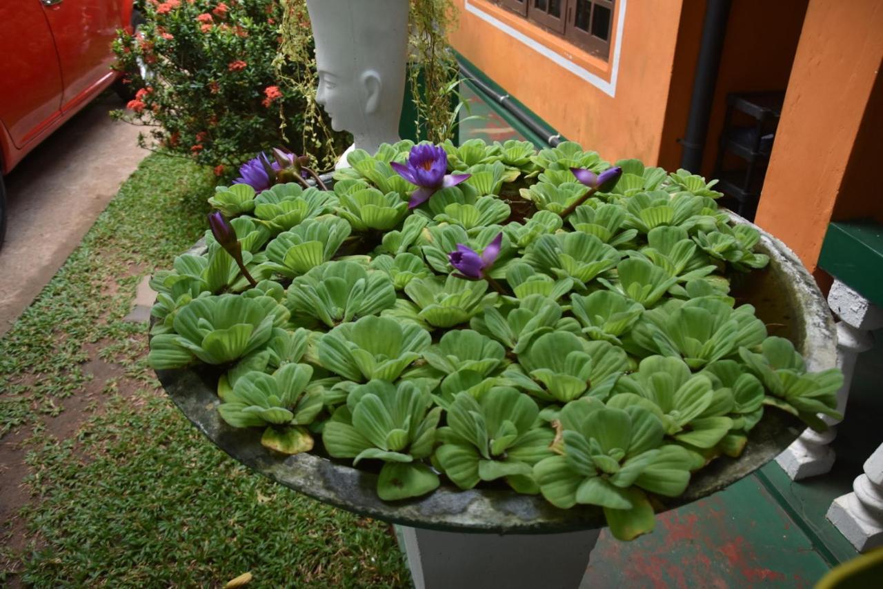 S P City Resort Anuradhapura Ngoại thất bức ảnh