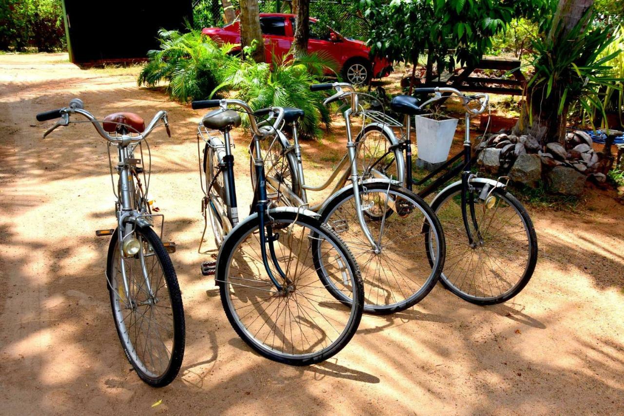 S P City Resort Anuradhapura Ngoại thất bức ảnh